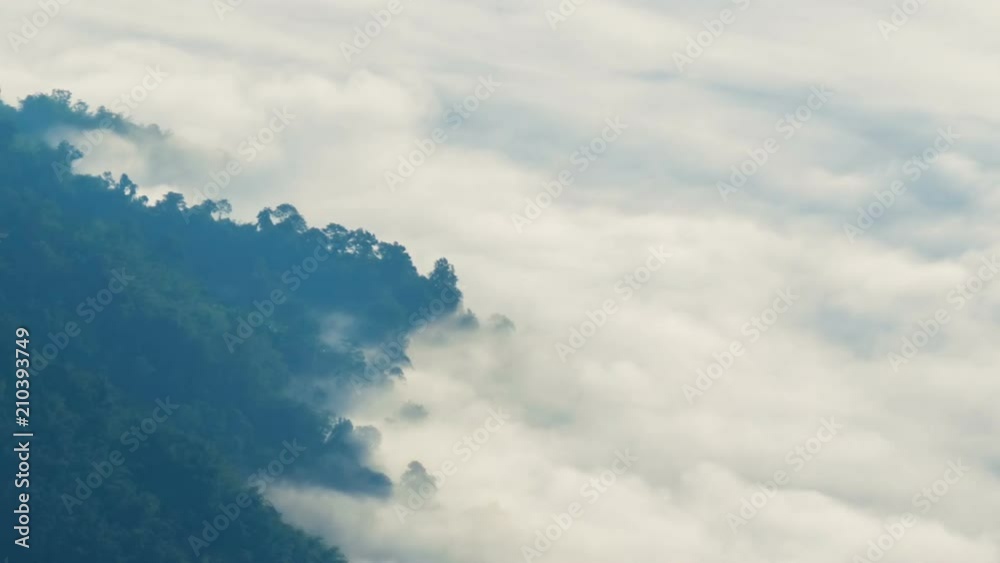Fog moves through forest of mountain ridges, time lapse Fog moves through forest of mountain ridges, time lapse