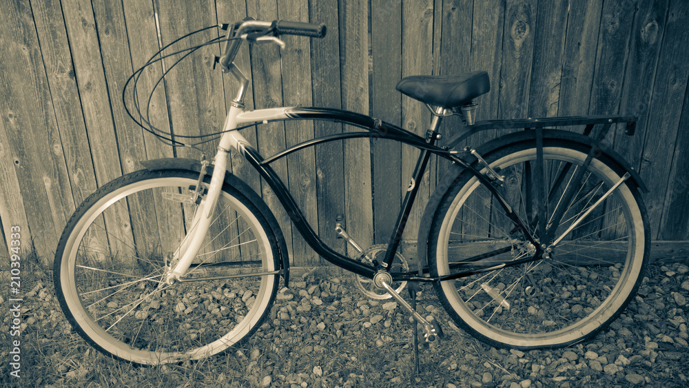 Bicycle II