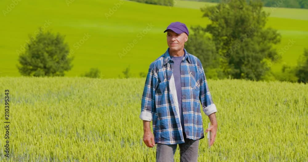 Farmer Analyzing Crops While Using Digital Tablet In Farm Farmer Analyzing Crops While Using Digital Tablet In Farm