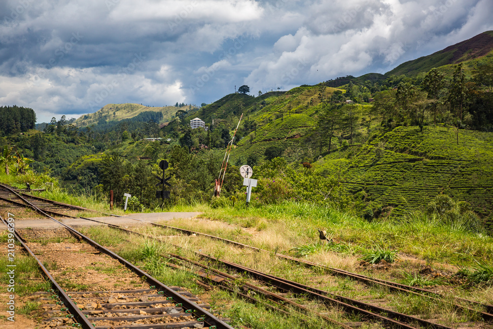Fototapeta premium Railway