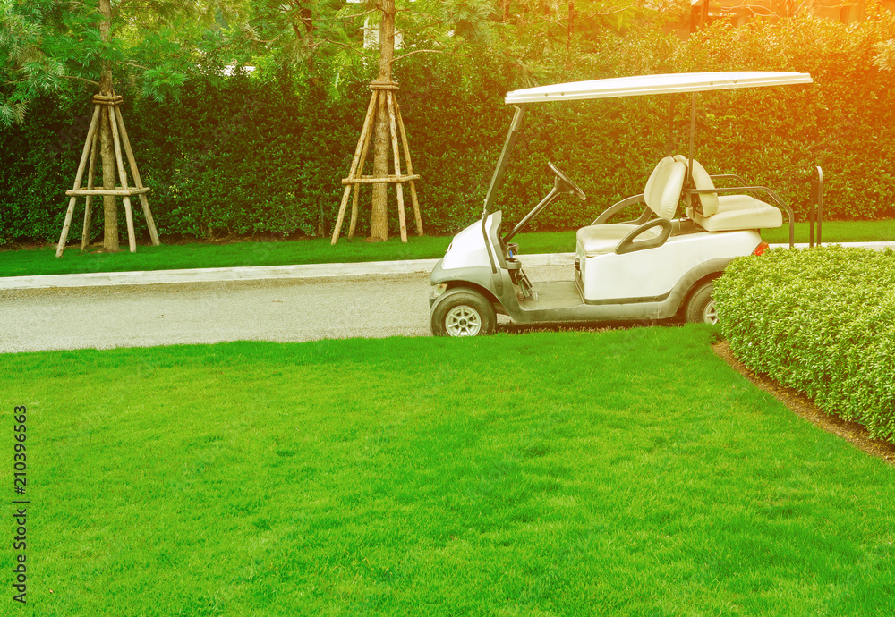 Green lawn in front of the house and a golf car parked on the street into the house.
