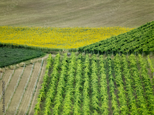 beautiful landscape design