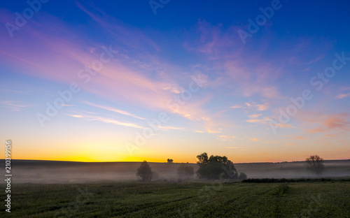 Sunrise over the field covered with fog.