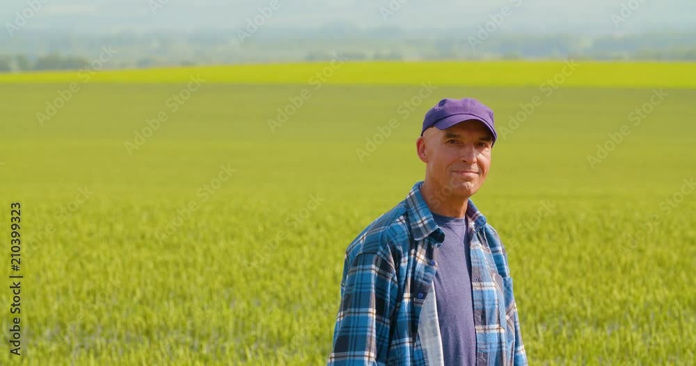 Farmer Analyzing Crops While Using Digital Tablet In Farm Farmer Analyzing Crops While Using Digital Tablet In Farm