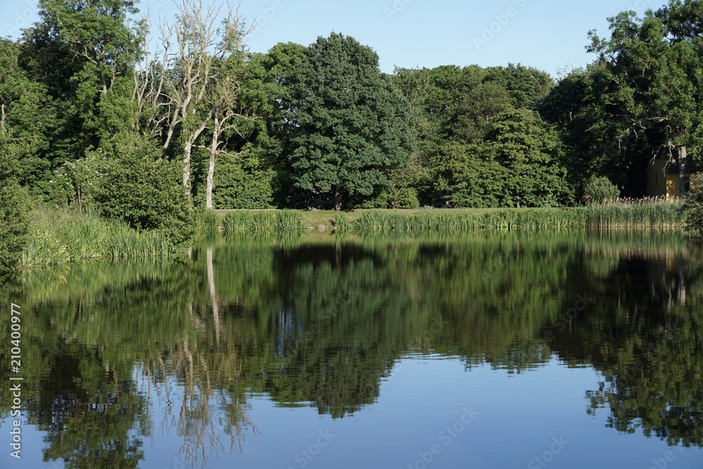 Fototapeta premium Reflektion in forest lake