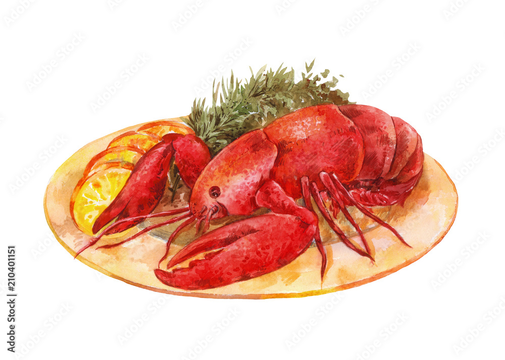 Lobster on a plate with herbs and lemon. Watercolor illustration isolated on white Lobster on a plate with herbs and lemon. Watercolor illustration isolated on white