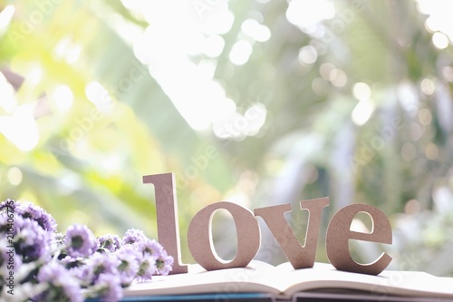 Wooden letters word "LOVE" decorate on Purple Marguerite daisy flowers.Love text on book in nature garden.Use for Valentine day and vintage concept background.Wooden alphabets & Words.