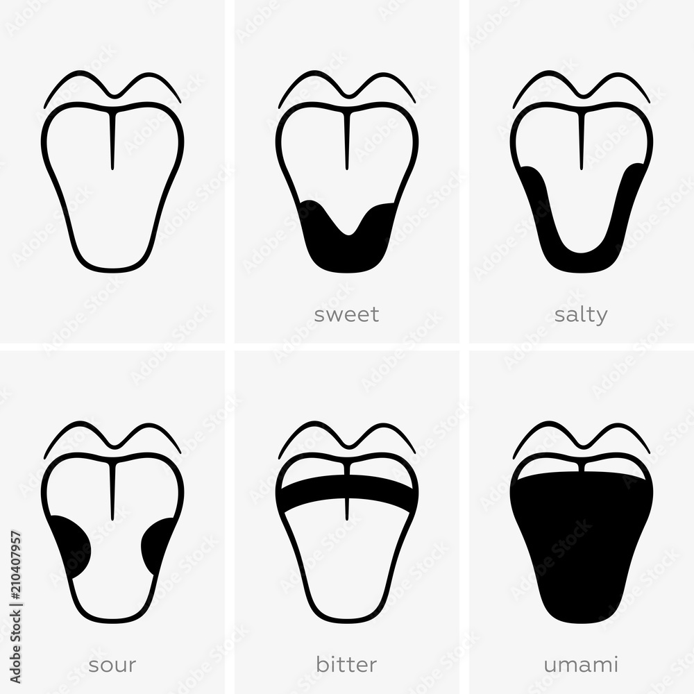 Taste areas of the human tongue Taste areas of the human tongue