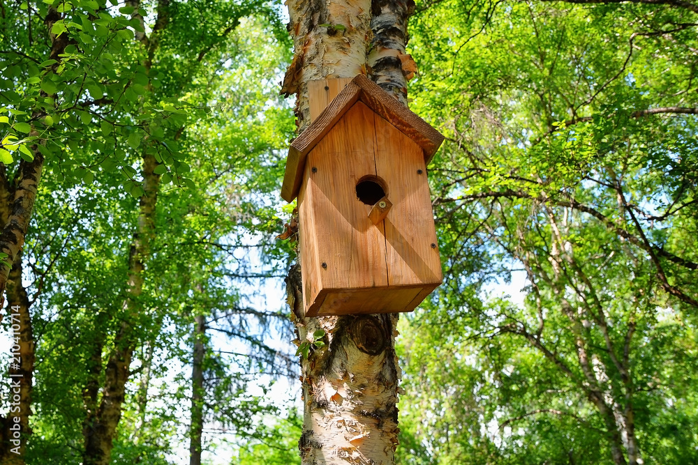 Wooden birdhouse hanging on a birch tree background in the city park Wooden birdhouse hanging on a birch tree background in the city park