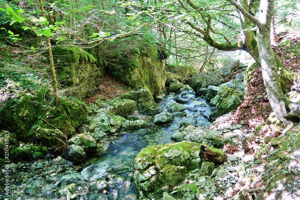 Brüeltobel, Alpstein, Appenzellerland, Ostschweiz Brüeltobel, Alpstein, Appenzellerland, Ostschweiz
