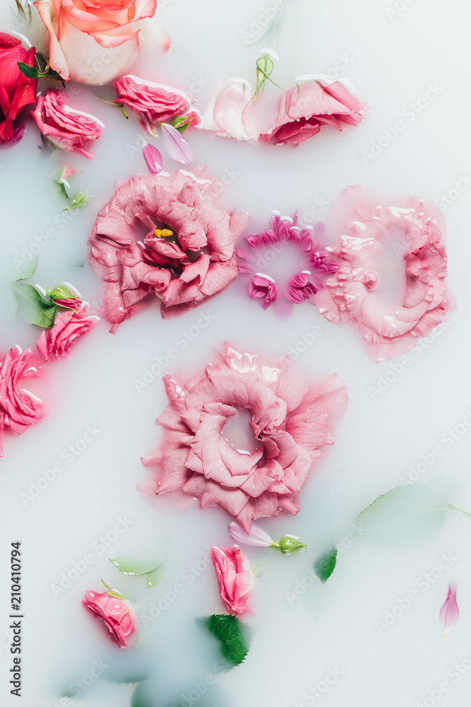 top view of arranged beautiful pink roses and chrysanthemum flower in milk top view of arranged beautiful pink roses and chrysanthemum flower in milk