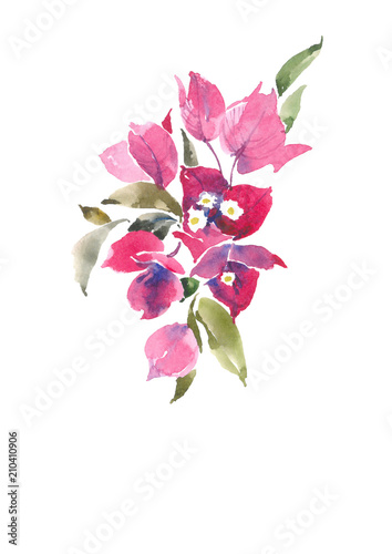 Bougainvillea is pink. Decorative bouquet. Watercolor background. photo