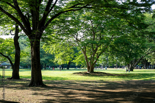 晴れの日の砧公園 © Hiroki Obara