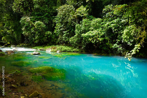 emerald green rio celeste river at Tenorio national Park  Alajuela  Costa Rica