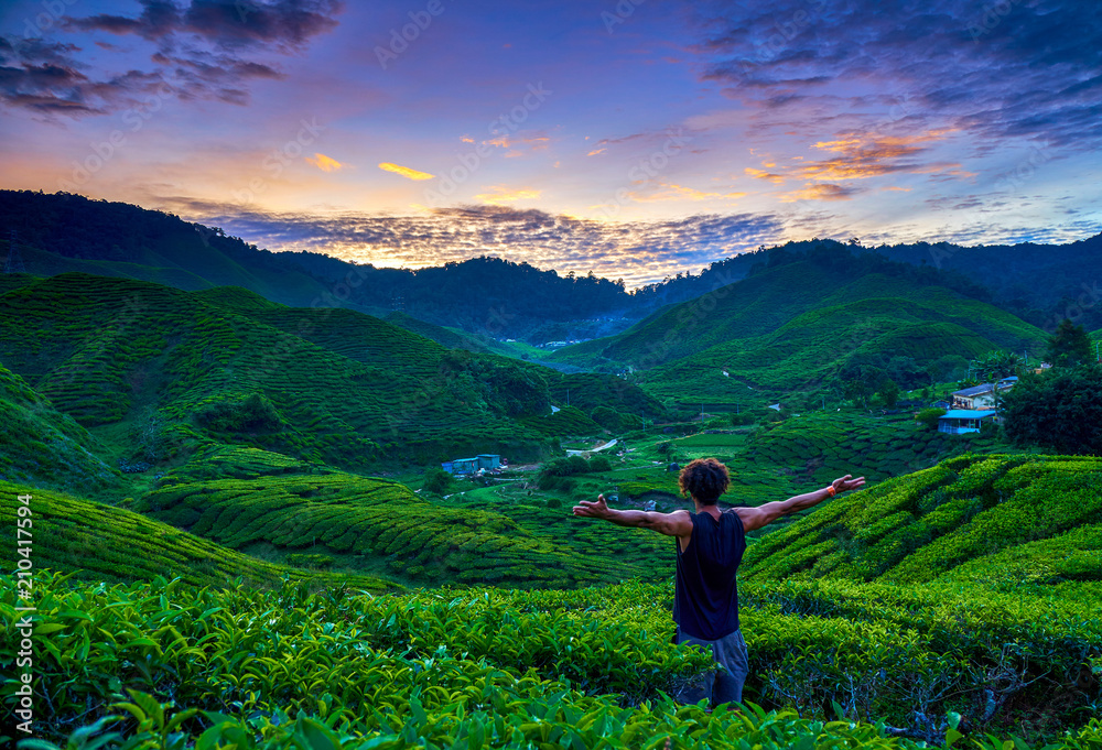 Malaysia Cameron Highlands Tea Plantations sunset