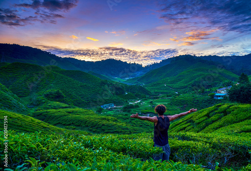 Malaysia Cameron Highlands Tea Plantations sunset photo