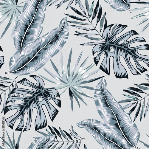 Gray banana, monstera palm leaves background. Vector seamless pattern. Tropical jungle foliage illustration. Exotic plants greenery. Summer beach floral design. Paradise nature.