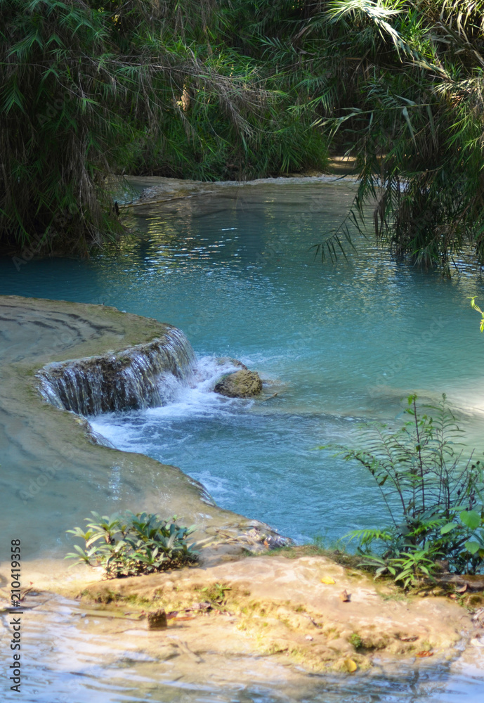 custom made wallpaper toronto digitalStill blue water in a river, surrounded by a tropical forest.
