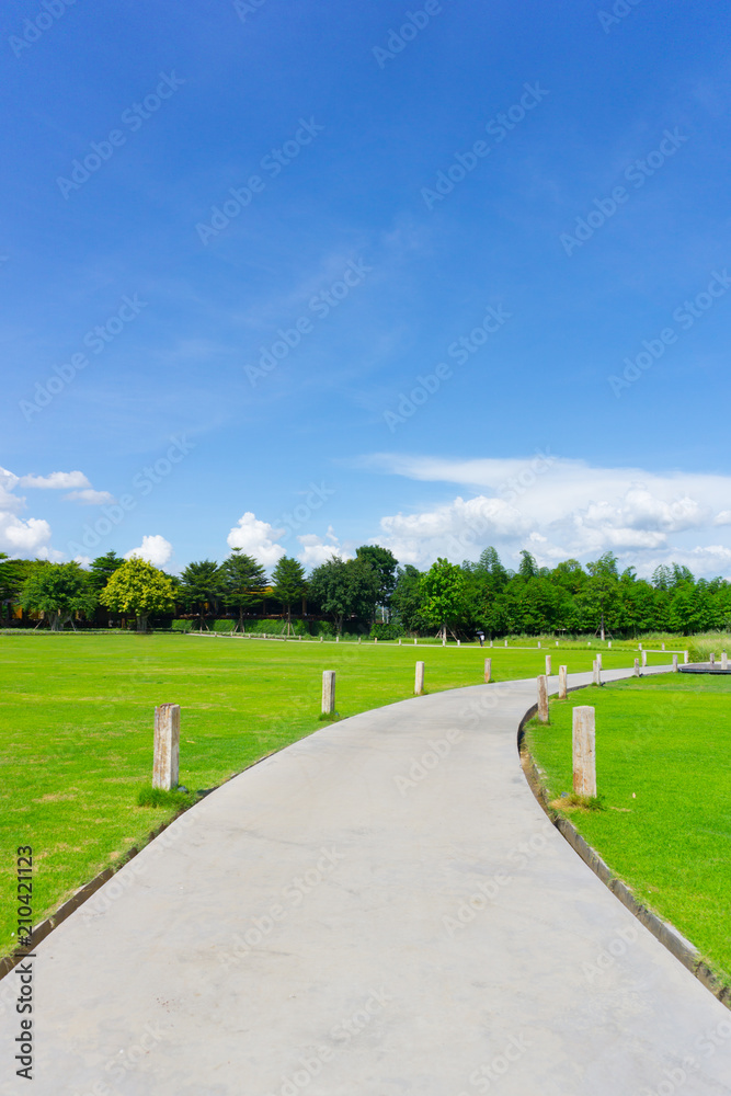 walk lane road in public garden in a clear sky day