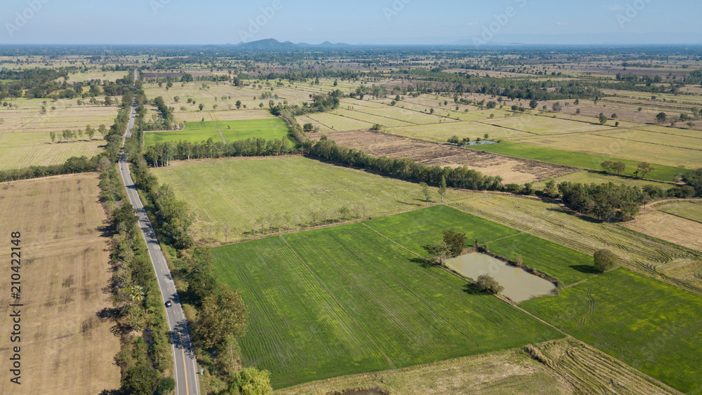 Aerial view of  agricultural area and farming in Thailand