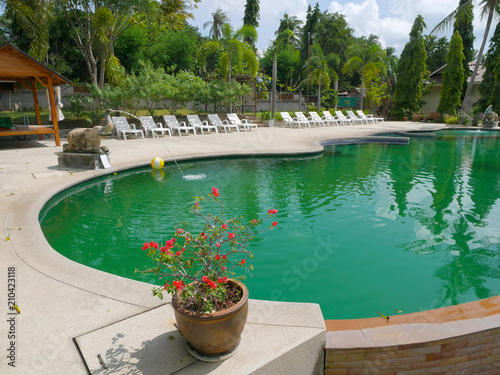 comfortable tropical hotel with a green swimming pool and flowers