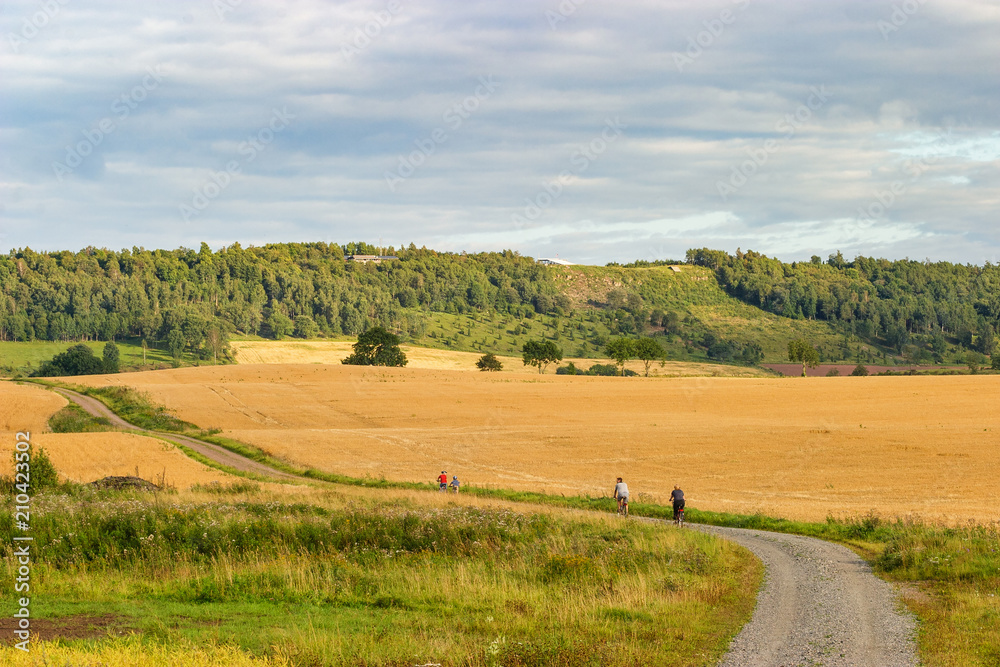 Obraz premium Gravel road with cyclists in a rural landscape