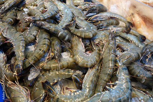 Fresh raw shrimps prawns