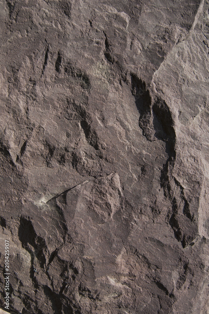 Stone brown background Stone brown background