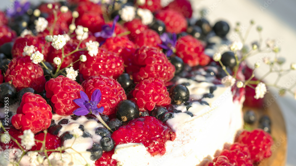 fruit cheese cake fruit cheese cake