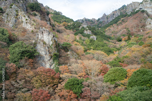 小豆島の寒霞渓の紅葉（香川県、日本）