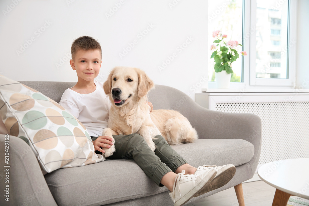 Cute little child with his pet on sofa at home Cute little child with his pet on sofa at home