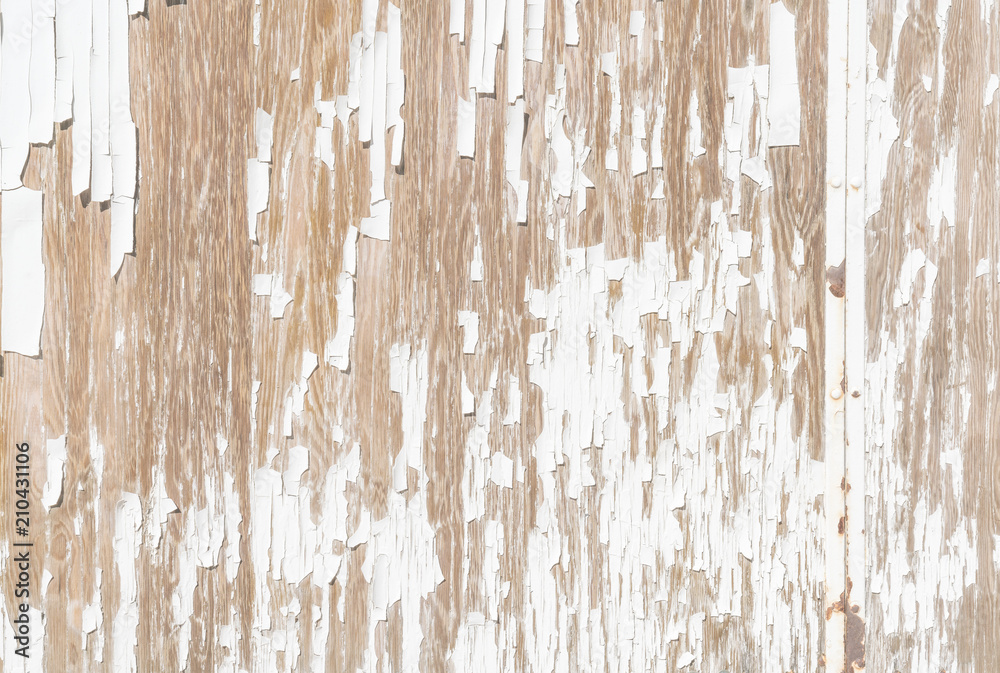 Obraz premium old white wood wall background.