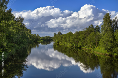 Summer landscape with river and forest