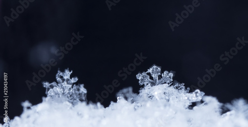 snowflake, little snowflake on the snow photo