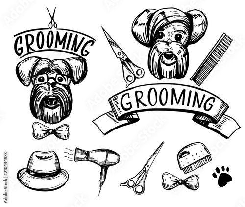 Dog grooming set. Hand drawn vector