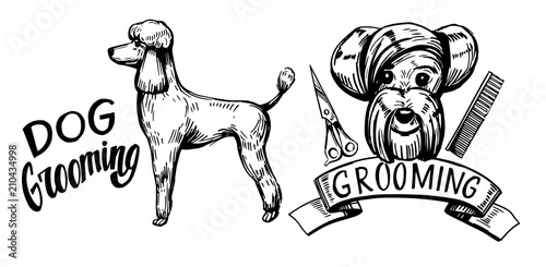 Dog grooming set. Hand drawn vector