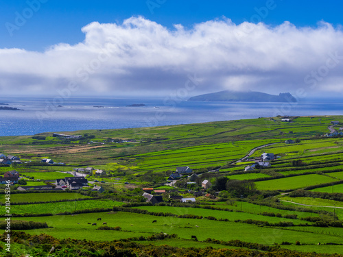 Beautiful nature and greens at Dingle Peninsula Ireland