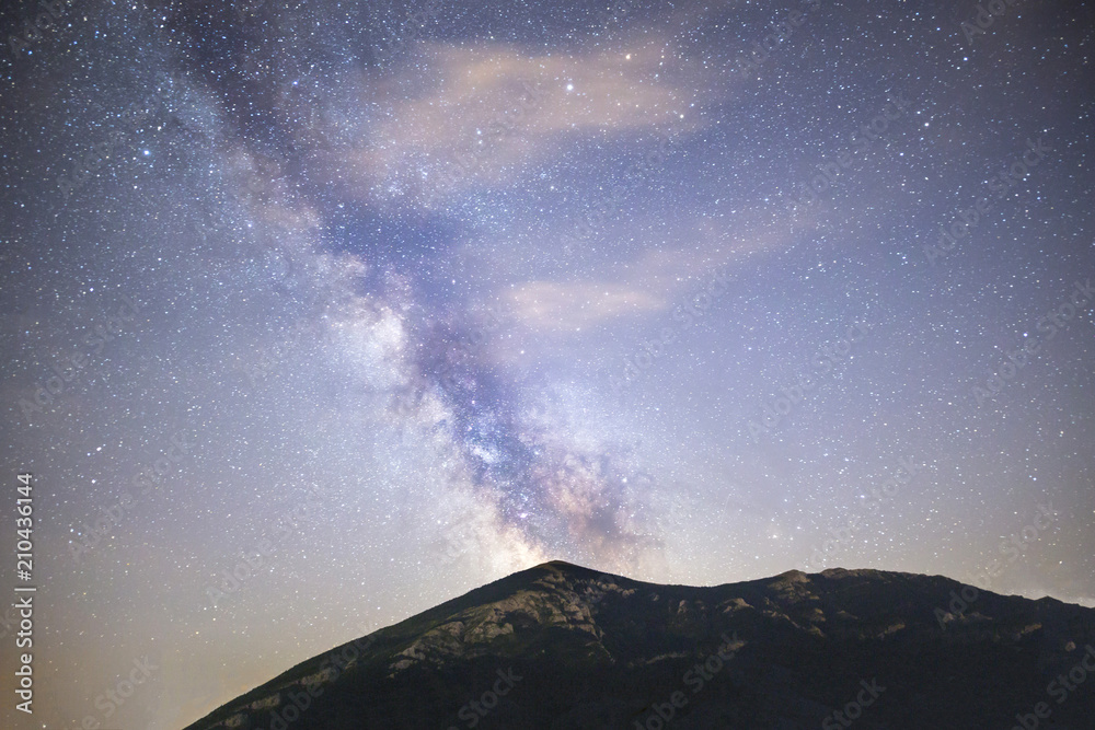 Pine trees silhouette Milky Way dark sky