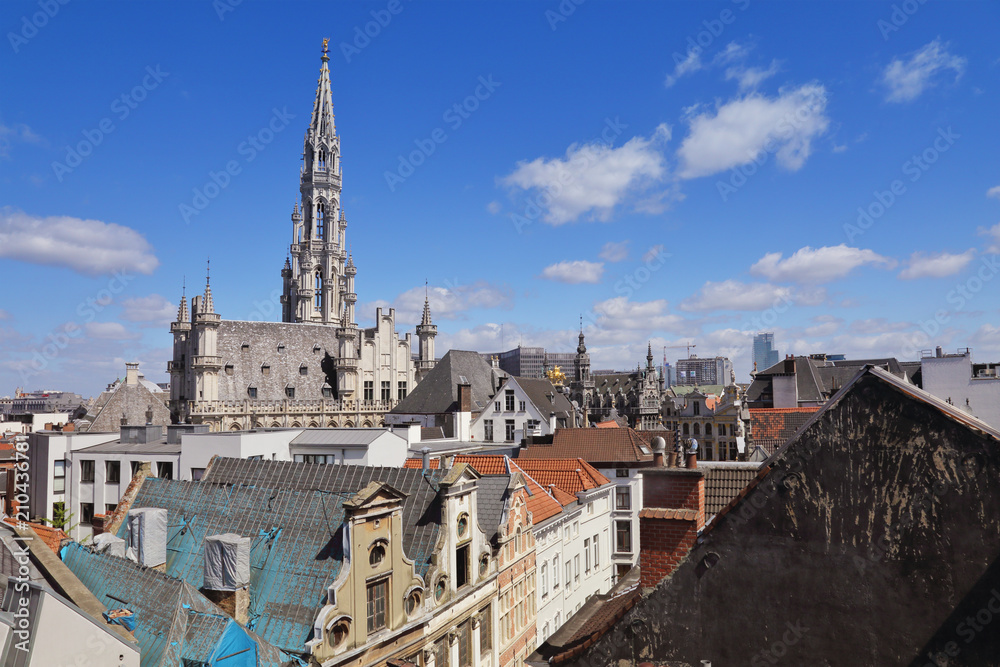 vue de Bruxelles centre, grand place, hôtel de ville, Belgique