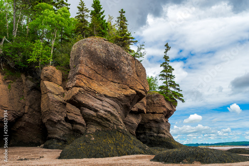 Hopewell Rocks znany również jako skały doniczki, wzdłuż Zatoki Fundy, New Brunswick, Kanada.