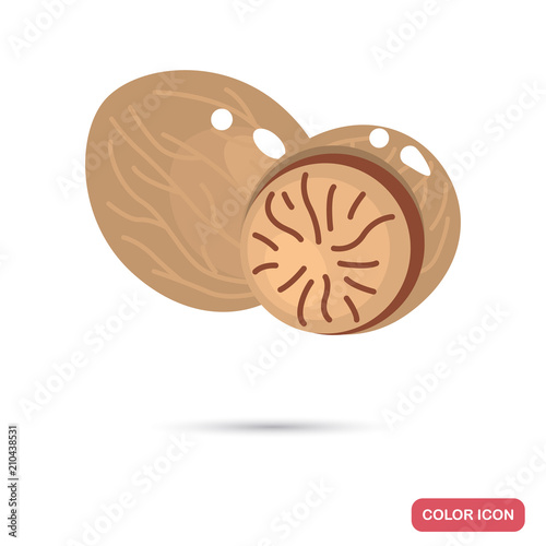 Nutmeg color flat icon