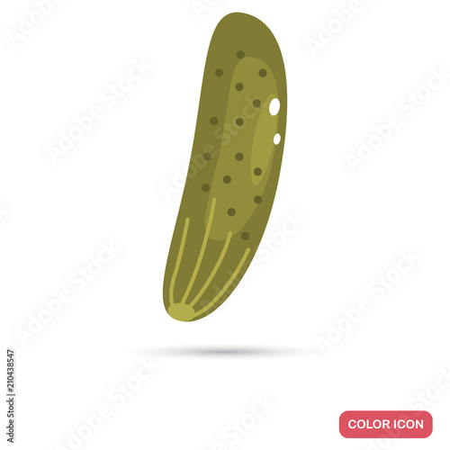 Cucumber color flat icon