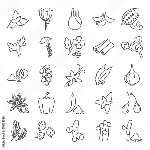 Different spices line icons set