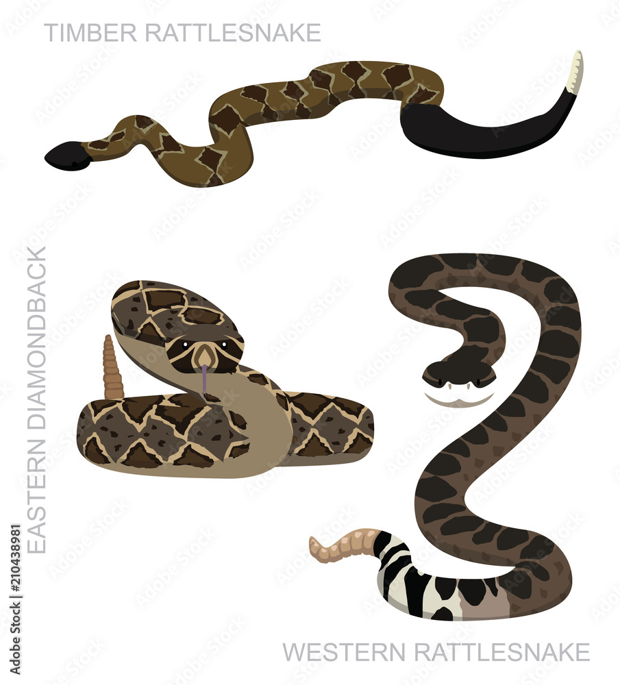 Naklejka premium Snake Rattlesnake Set Cartoon Vector Illustration