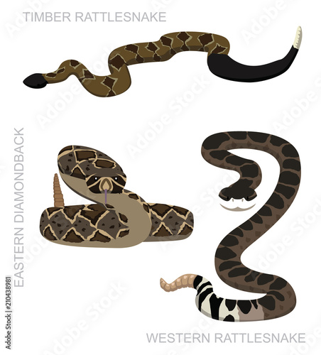 Snake Rattlesnake Set Cartoon Vector Illustration