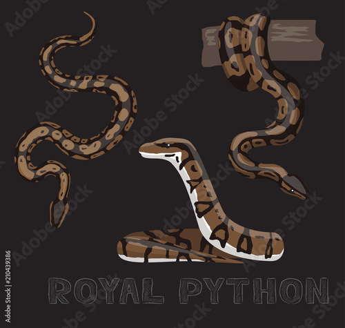 Snake Royal Python Cartoon Vector Illustration