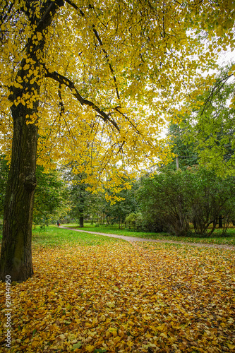 Autumn park in Saint Petersburg, Russia