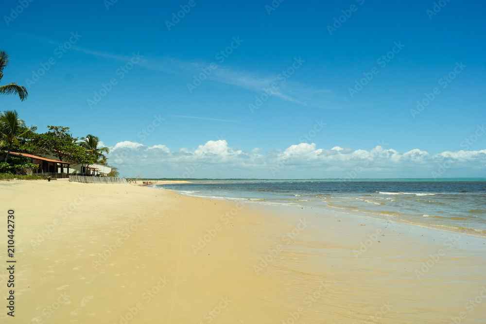 Sea, sand, beach and tropical landscape - Mar, areia, praia e paisagem tropical (Bahia - Brazil)