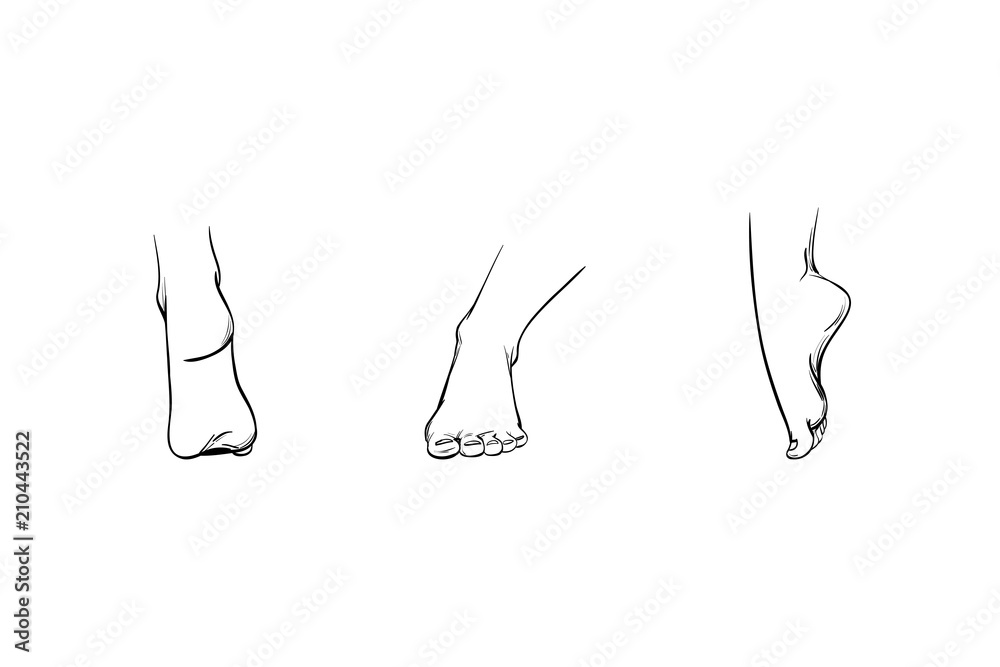 set-of-feet-in-different-angles-parts-of-a-human-body-lines-and