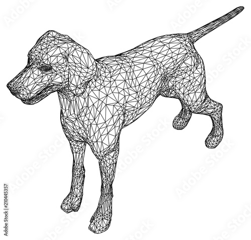 Dog polygonal lines illustration. Abstract vector dog on the white background